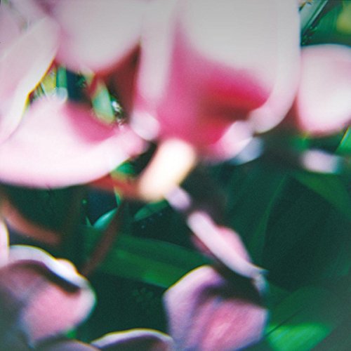 The image is a close-up of pink flowers with green leaves. Alt text: Pink flowers with green leaves in a close-up, blurred view.