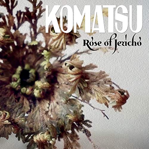 Album cover for Komatsu’s “Rose of Jericho” featuring a dried plant.