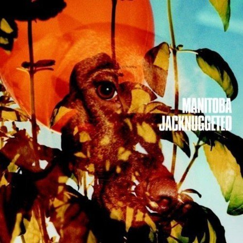 Vinyl album cover featuring a frog surrounded by leaves and flowers against a blue sky.