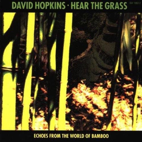 Album cover with bamboo stalks and sunlight, titled "Hear the Grass" by David Hopkins.
