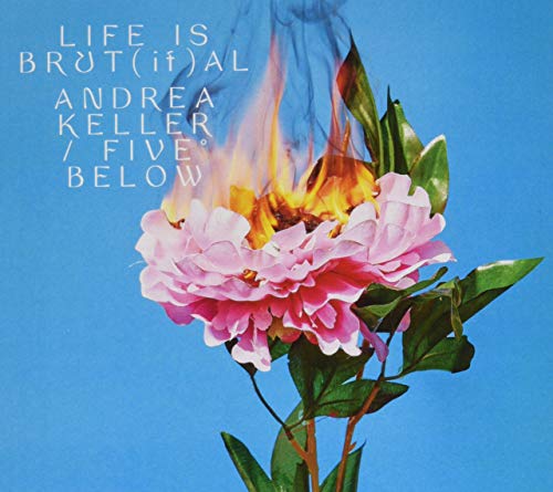 Pink flower on fire with green leaves on blue background with white text.
