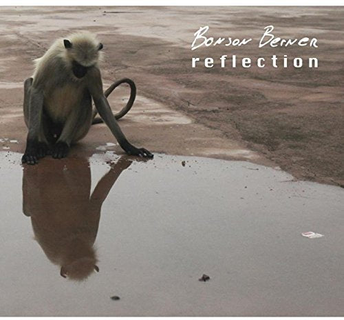 "CD cover with a monkey sitting beside a puddle, reflecting its image."