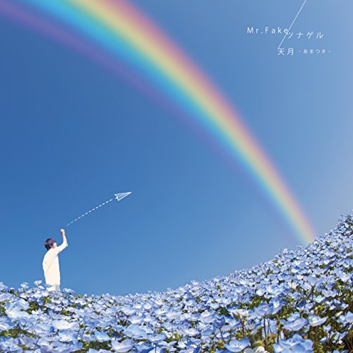 CD cover: rainbow over a field of blue flowers, with a paper airplane.