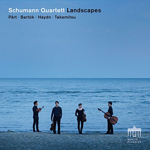 "CD cover with four musicians on a beach, holding string instruments, serene ocean background."