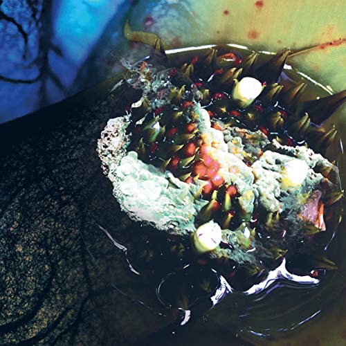 Album cover with abstract, colorful, textured design resembling organic matter.