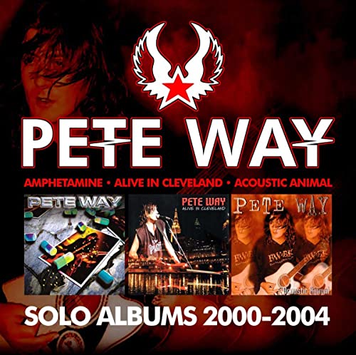 CD cover for Pete Wayâs solo albums 2000-2004, featuring album art.