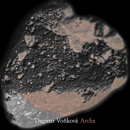 CD cover with textured, abstract stone-like imagery and artist name.