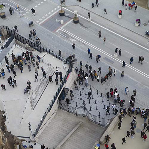 The image depicts a crowd of people gathered on a street and sidewalk. Alt text: Aerial view of a crowd on a street and sidewalk.