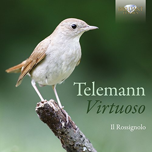CD cover featuring a small bird perched on a branch with text "Telemann Virtuoso".