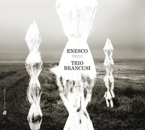 A black and white album cover with abstract sculptures in a grassy landscape.