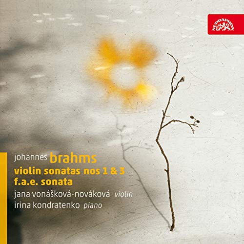 CD cover with abstract yellow burst and a bare tree branch.