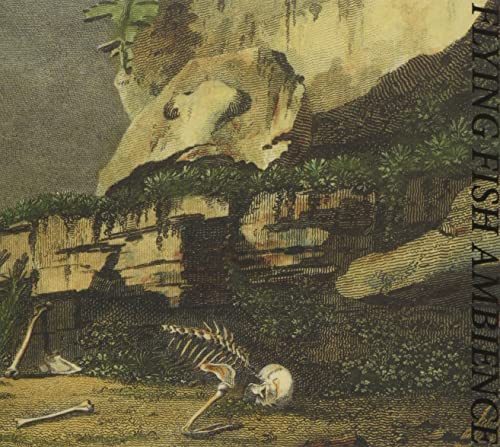 Vintage-style CD cover depicting a fish skeleton near rocks and foliage.