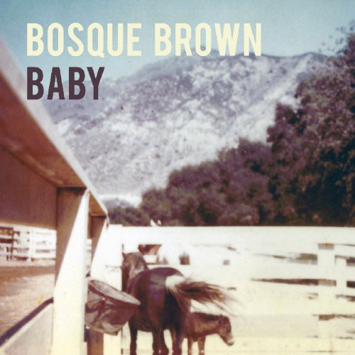Compact disc with brown cover, titled "Bosque Brown - Baby", in a CD case.