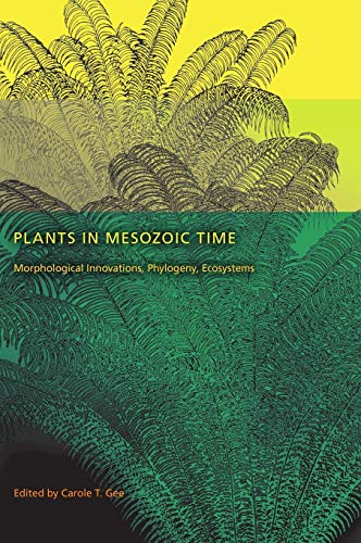 Book cover with fern illustration, yellow and green gradient background, and yellow text.