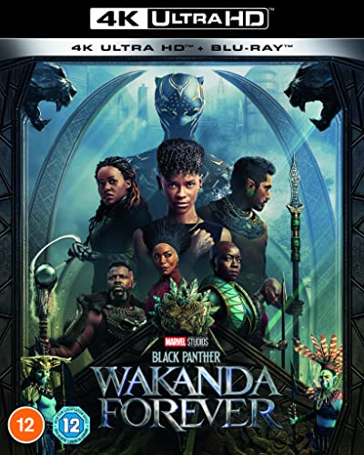 “Black Panther: Wakanda Forever” Blu-ray cover with cast and Wakandan imagery.