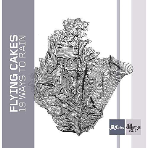 "Album cover with abstract black and white illustration and gray bars, white background."