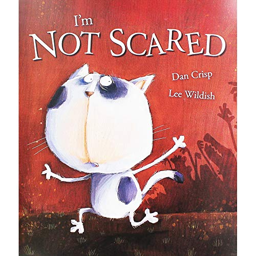 I'M NOT SCARED