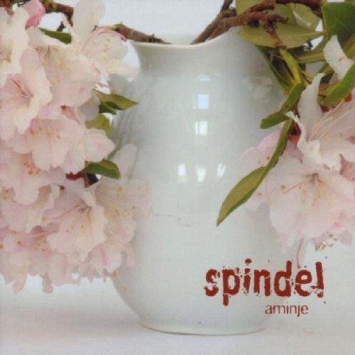 White vase with pink flowers and red text "spindel" and "aminje" on a white background.
