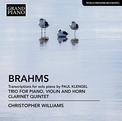 "Album cover with three seagulls standing on calm water, featuring 'Brahms' and 'Christopher Williams'."