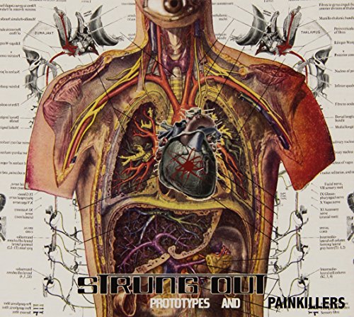 AnCyborg anatomical illustration of a human torso with mechanical parts and medical labels.