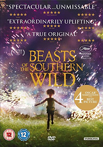 DVD cover for “Beasts of the Southern Wild” featuring a young girl.