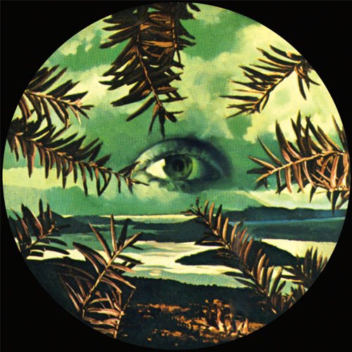 A CD with a surreal landscape and an eye in the sky.