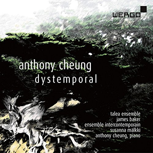 "Album cover with abstract, dark, and moody forest scene and white text."