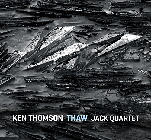"Album cover with black and white abstract image and white and blue text."