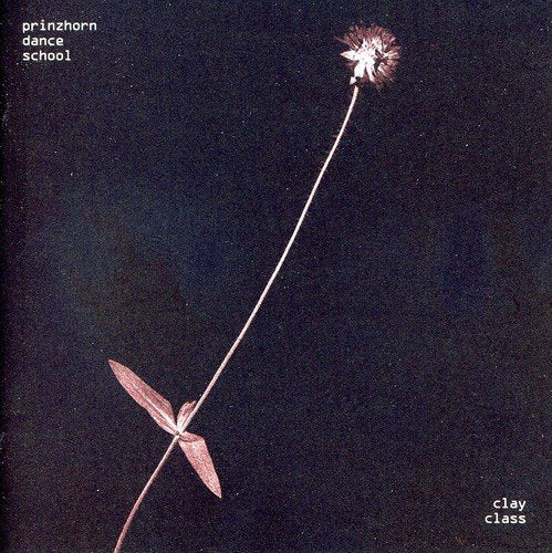 "Album cover with a dandelion stem and seed against a dark background."