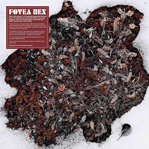 Vinyl record cover featuring a dark, textured landscape of dried plants.