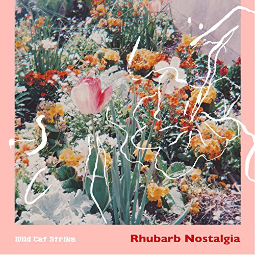 A pink-bordered album cover featuring a garden scene with flowers and white scribbles.