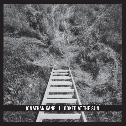 Black and white album cover with a ladder leading into tall grass.