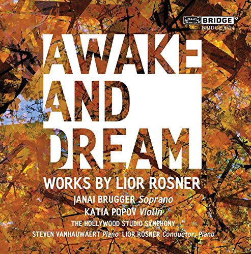 "CD cover with 'Awake and Dream' text on orange leaf-patterned background."