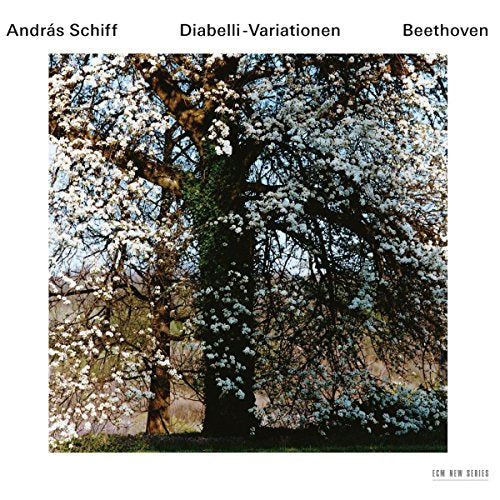 "Album cover featuring a tree with white blossoms on a white background."