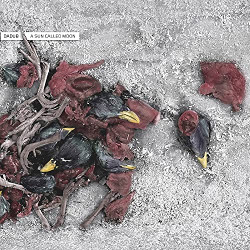 Album cover for Dadub’s “A Sun Called Moon” featuring birds and floral debris.