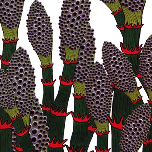 CD cover with repeating illustration of plant-like stalks covered in eyes.