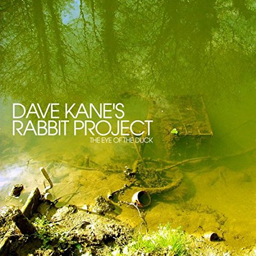 "Album cover with murky green pond and debris, titled 'Dave Kane's Rabbit Project'."