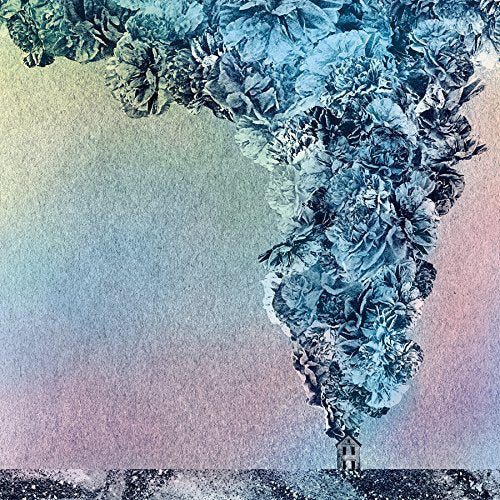 Album cover for Daughn Gibson's Carnation, featuring blue flowers and a small house.