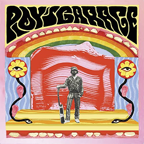 Album cover for "Roys Garage" featuring a person and colorful, surreal imagery.