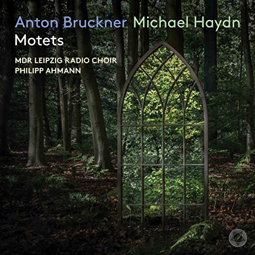 CD cover with arched window in a dark forest setting.