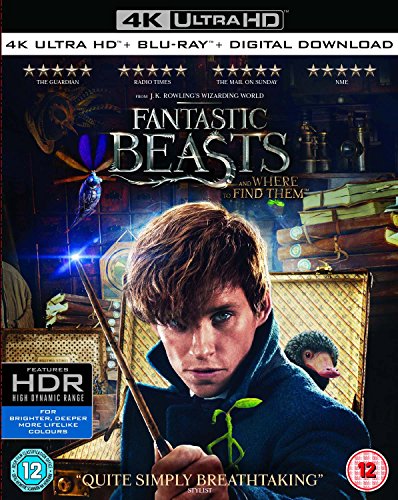 Fantastic Beasts and Where to Find Them movie cover featuring a man holding a wand.