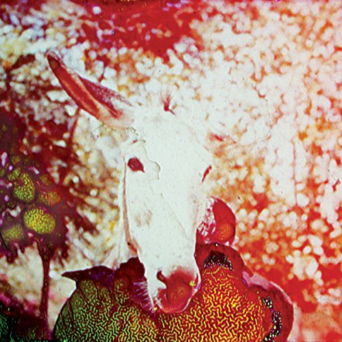 CD cover featuring a white donkey’s head against a red and gold background.
