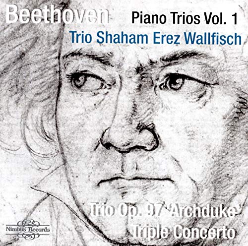 A Beethoven CD cover featuring a sketch of Beethoven's face with text overlays.