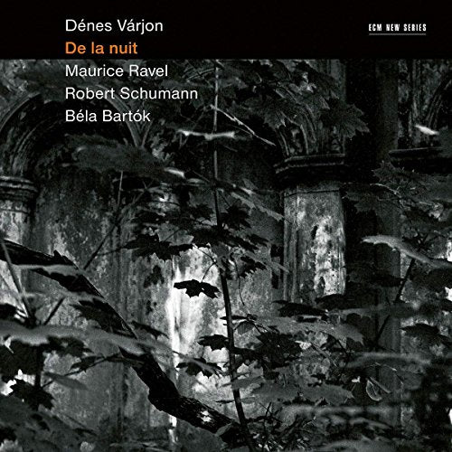 Black and white image of a ruined building on a CD cover.