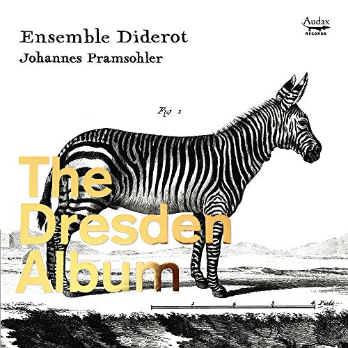"CD cover featuring a black and white zebra illustration with yellow text overlay."