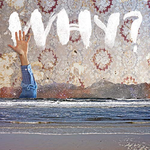 CD cover: hand reaching up from water towards large “WHY?” text.