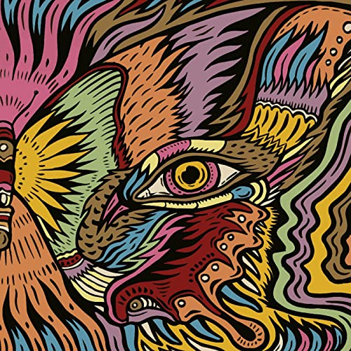 Colorful, psychedelic illustration of a wolf’s face with intense gaze.