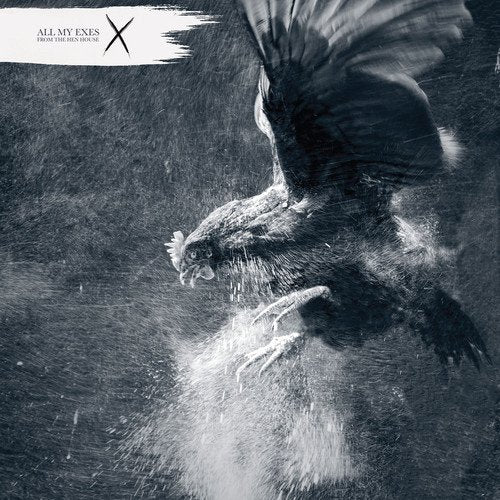 Dark, dramatic image of a black rooster with scattered feathers.