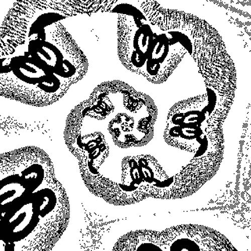 Black and white abstract pattern resembling stylized faces in a circle.