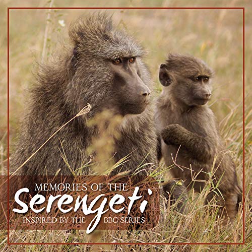An image of a CD cover featuring two baboons sitting in tall grass.